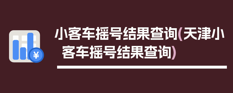 小客车摇号结果查询(天津小客车摇号结果查询)
