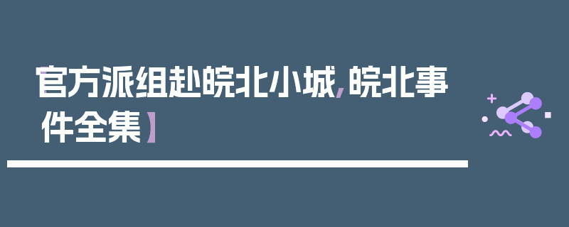【官方派组赴皖北小城,皖北事件全集】