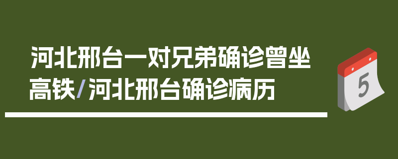 河北邢台一对兄弟确诊曾坐高铁/河北邢台确诊病历