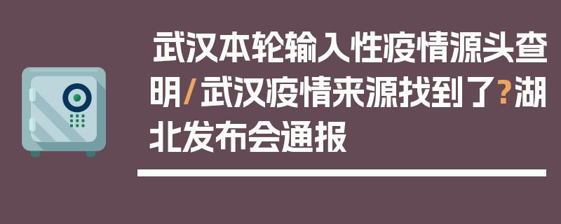 武汉本轮输入性疫情源头查明/武汉疫情来源找到了?湖北发布会通报