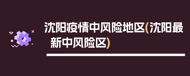 沈阳疫情中风险地区(沈阳最新中风险区)