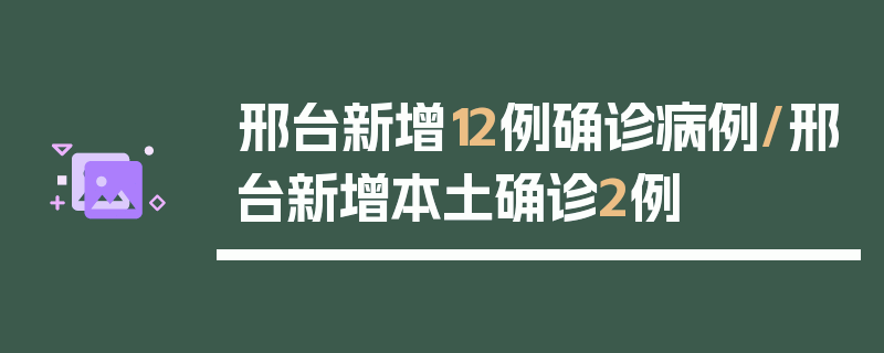 邢台新增12例确诊病例/邢台新增本土确诊2例