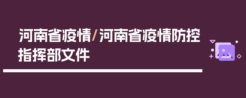 河南省疫情/河南省疫情防控指挥部文件