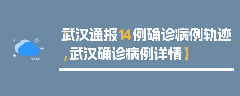 【武汉通报14例确诊病例轨迹,武汉确诊病例详情】