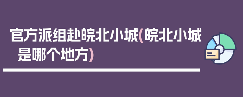 官方派组赴皖北小城(皖北小城是哪个地方)