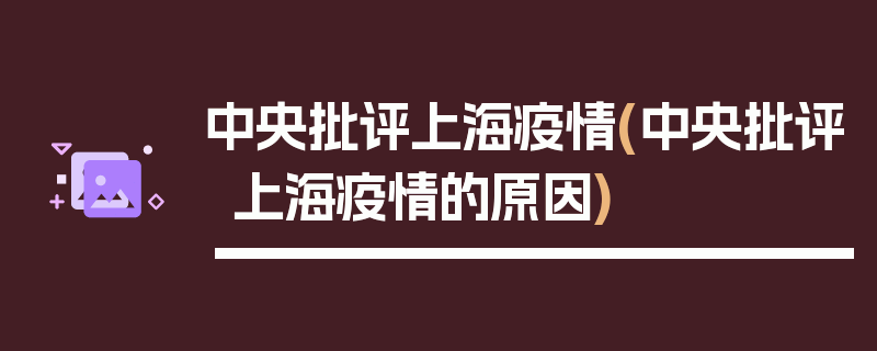 中央批评上海疫情(中央批评上海疫情的原因)