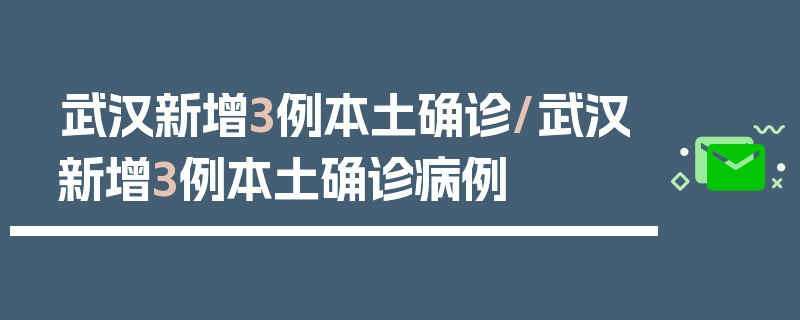 武汉新增3例本土确诊/武汉新增3例本土确诊病例