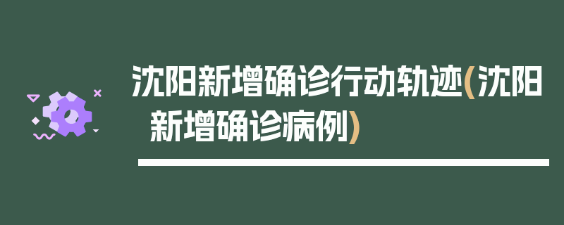 沈阳新增确诊行动轨迹(沈阳新增确诊病例)