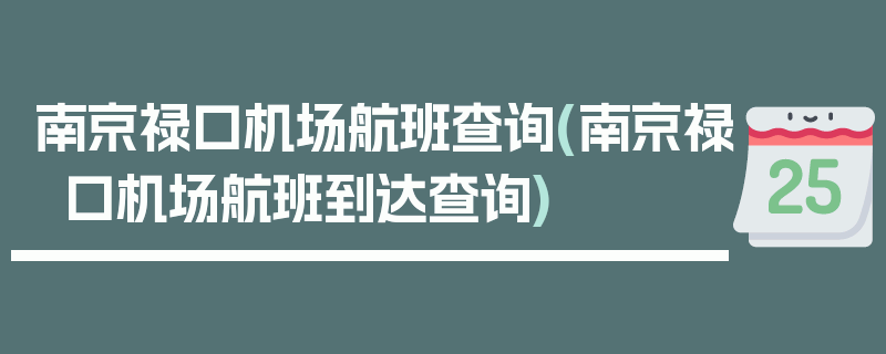 南京禄口机场航班查询(南京禄口机场航班到达查询)