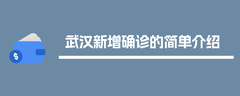 武汉新增确诊的简单介绍