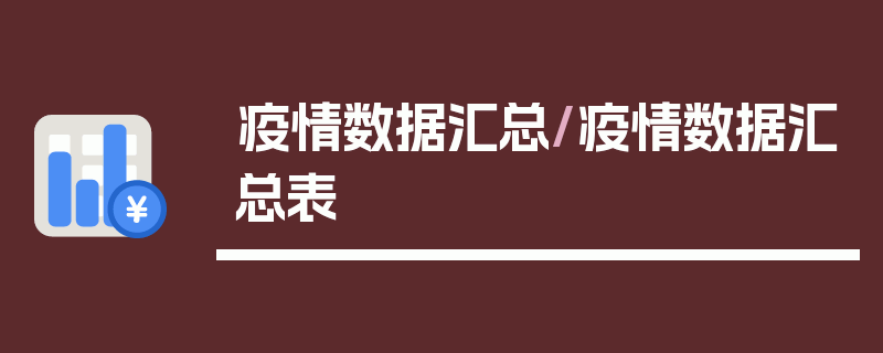 疫情数据汇总/疫情数据汇总表