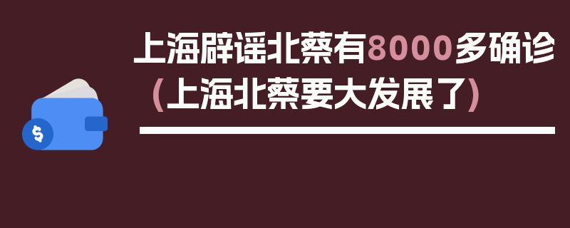 上海辟谣北蔡有8000多确诊(上海北蔡要大发展了)
