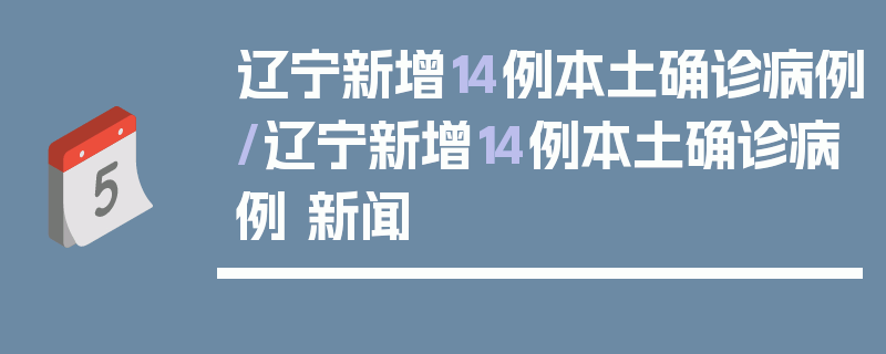辽宁新增14例本土确诊病例/辽宁新增14例本土确诊病例 新闻
