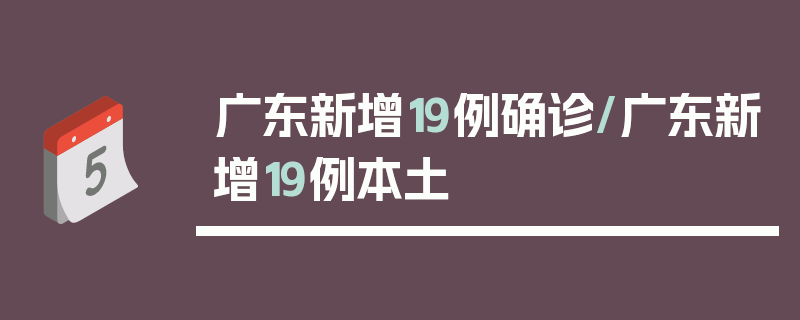 广东新增19例确诊/广东新增19例本土