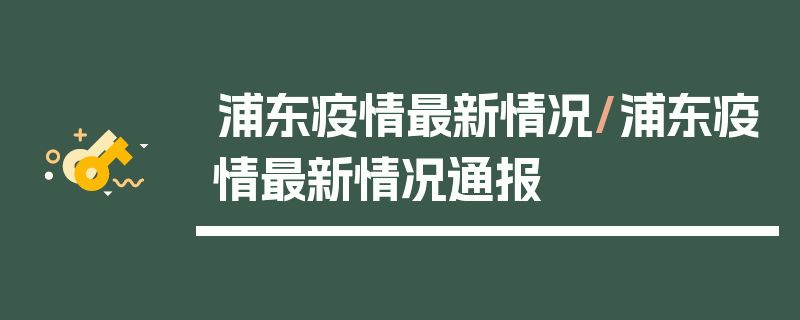 浦东疫情最新情况/浦东疫情最新情况通报