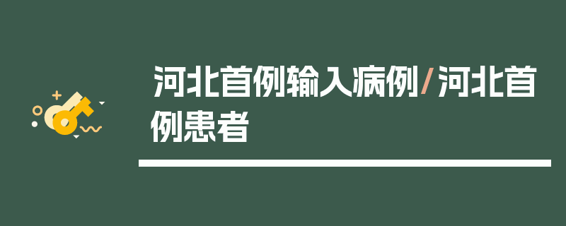河北首例输入病例/河北首例患者