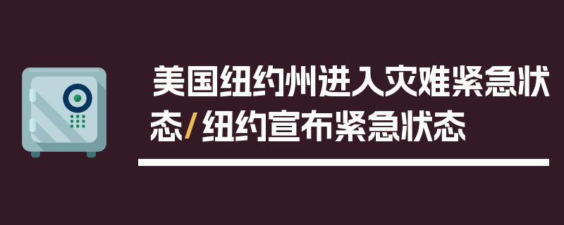 美国纽约州进入灾难紧急状态/纽约宣布紧急状态