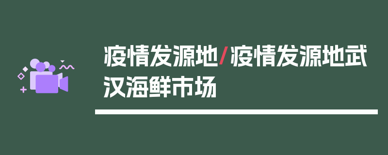 疫情发源地/疫情发源地武汉海鲜市场
