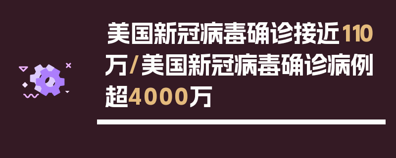 美国新冠病毒确诊接近110万/美国新冠病毒确诊病例超4000万