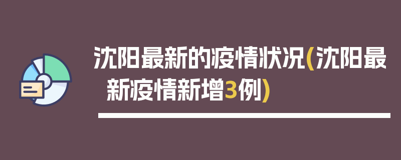 沈阳最新的疫情状况(沈阳最新疫情新增3例)