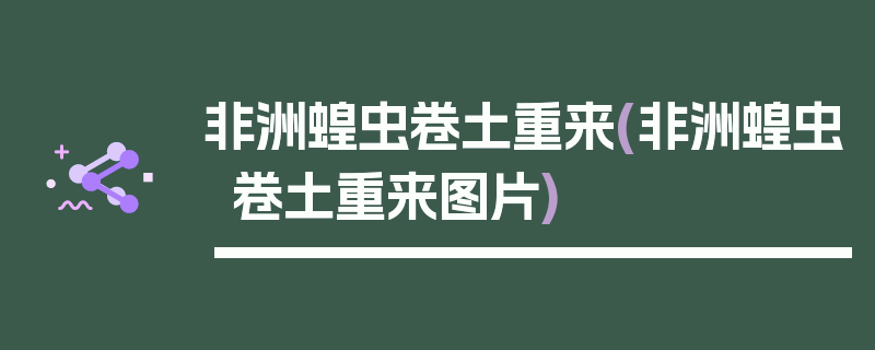 非洲蝗虫卷土重来(非洲蝗虫卷土重来图片)
