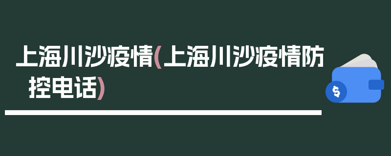 上海川沙疫情(上海川沙疫情防控电话)
