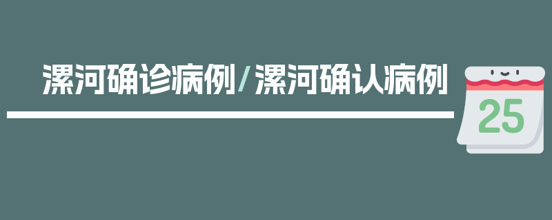 漯河确诊病例/漯河确认病例
