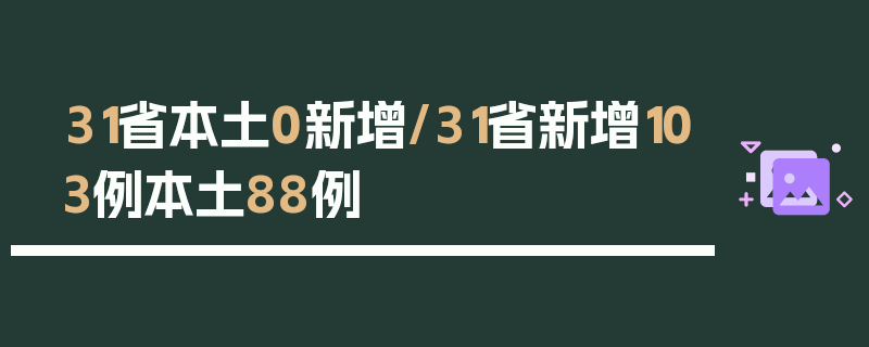 31省本土0新增/31省新增103例本土88例