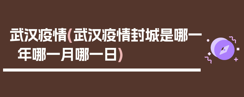 武汉疫情(武汉疫情封城是哪一年哪一月哪一日)