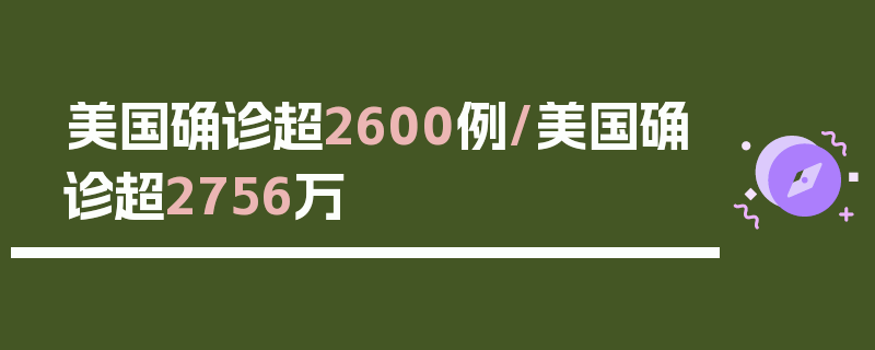 美国确诊超2600例/美国确诊超2756万