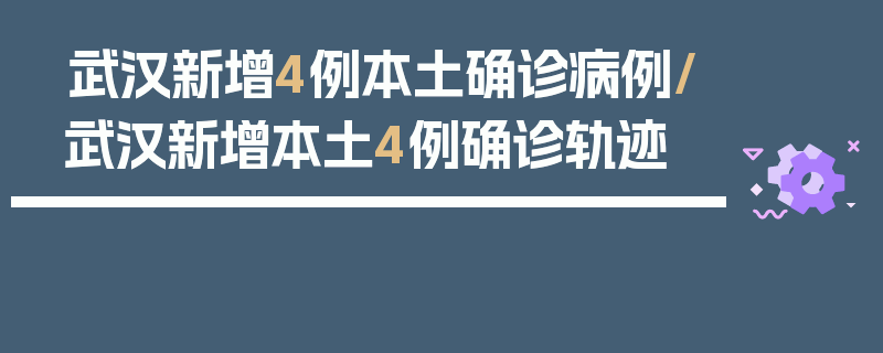 武汉新增4例本土确诊病例/武汉新增本土4例确诊轨迹