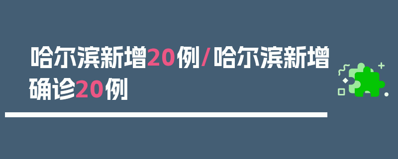 哈尔滨新增20例/哈尔滨新增确诊20例