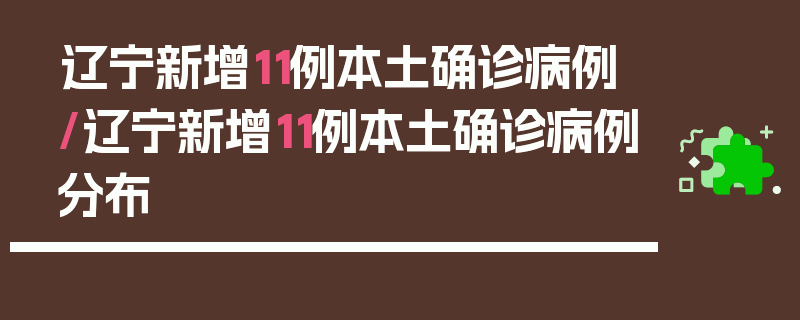 辽宁新增11例本土确诊病例/辽宁新增11例本土确诊病例分布