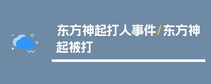 东方神起打人事件/东方神起被打