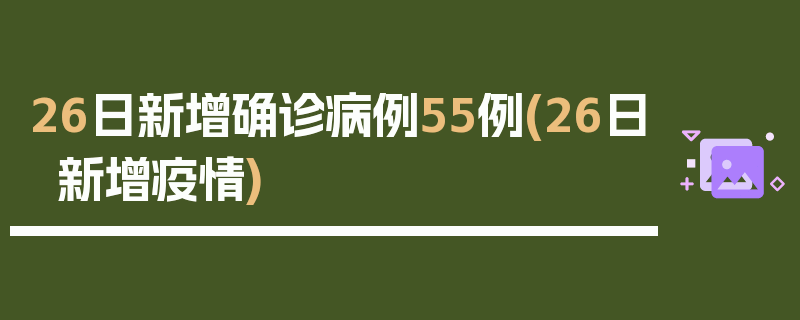 26日新增确诊病例55例(26日新增疫情)
