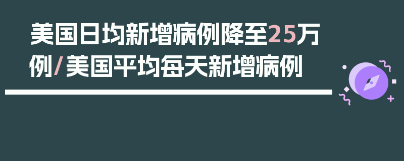 美国日均新增病例降至25万例/美国平均每天新增病例