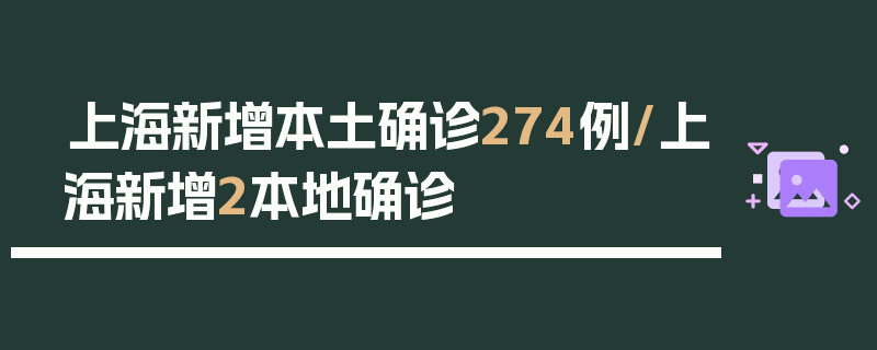 上海新增本土确诊274例/上海新增2本地确诊