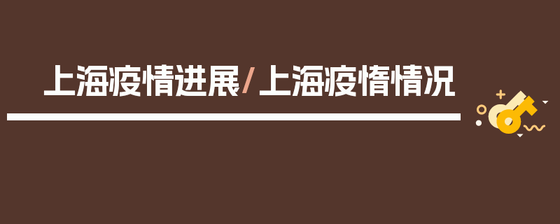 上海疫情进展/上海疫惰情况