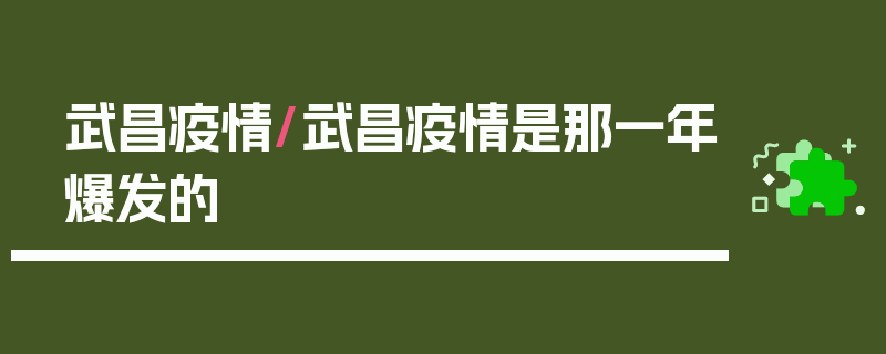 武昌疫情/武昌疫情是那一年爆发的