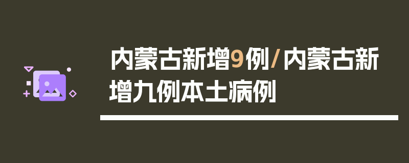 内蒙古新增9例/内蒙古新增九例本土病例