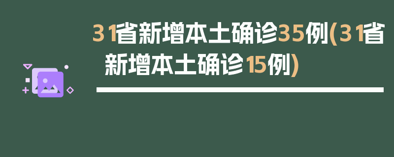 31省新增本土确诊35例(31省新增本土确诊15例)