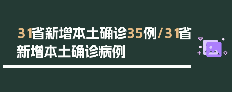 31省新增本土确诊35例/31省新增本土确诊病例