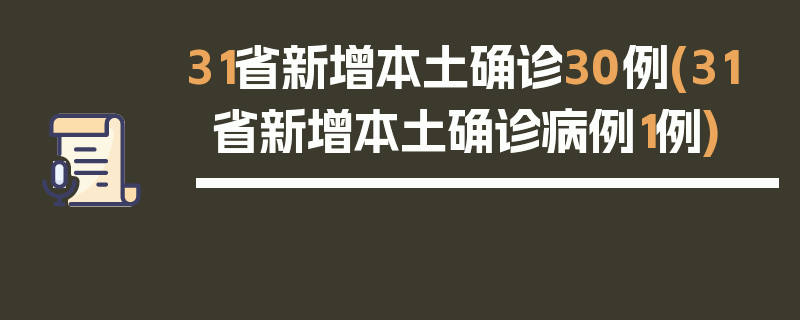 31省新增本土确诊30例(31省新增本土确诊病例1例)