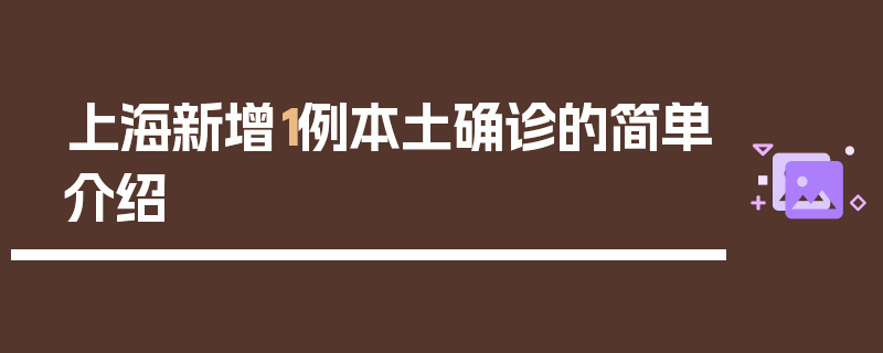 上海新增1例本土确诊的简单介绍