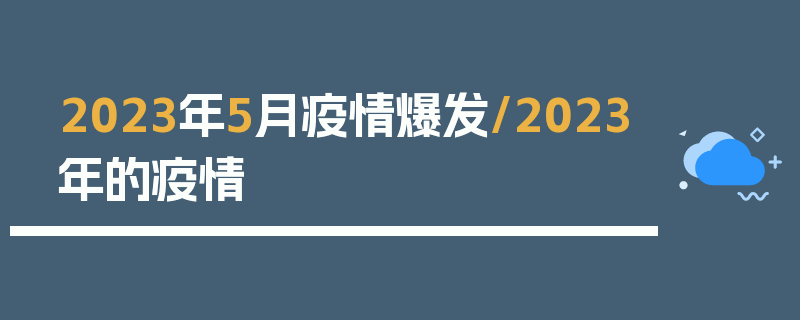 2023年5月疫情爆发/2023年的疫情