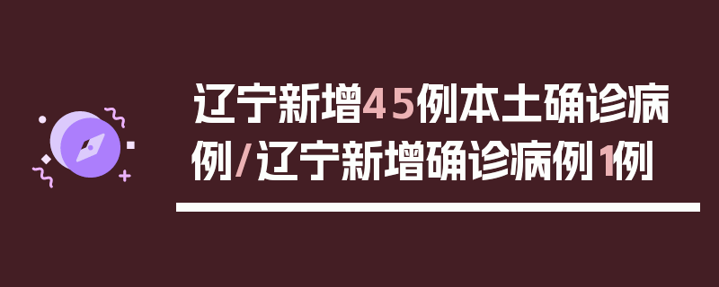 辽宁新增45例本土确诊病例/辽宁新增确诊病例1例