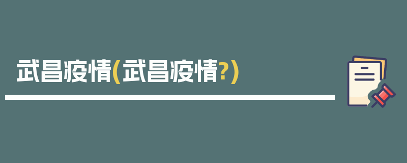 武昌疫情(武昌疫情?)