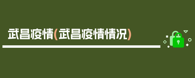 武昌疫情(武昌疫情情况)