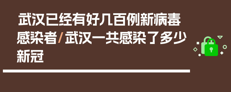 武汉已经有好几百例新病毒感染者/武汉一共感染了多少新冠
