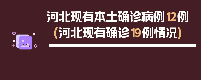 河北现有本土确诊病例12例(河北现有确诊19例情况)